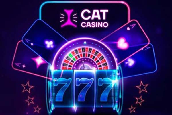Cat Casino дарит бонусы игрокам