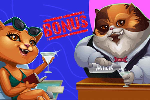Еженедельные бонусы от Cat Casino