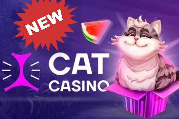 Новые игровые автоматы в Cat Casino
