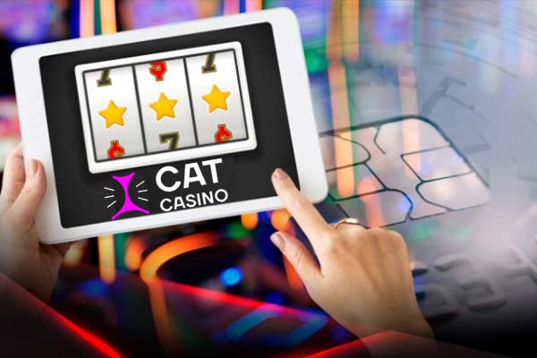 В Cat Casino появились новые турниры по видеослотам